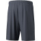 erima Team Trainingsshorts Erwachsene slate grey XL