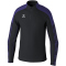 erima EVO STAR Trainings-Top schwarz/ultra violet S