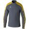 erima EVO STAR Trainings-Top Erwachsene slate grey/gelb XL