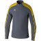 erima EVO STAR Trainings-Top Kinder slate grey/gelb 152