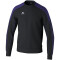 erima EVO STAR Sweatshirt Erwachsene schwarz/ultra violet XXL