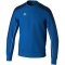 erima EVO STAR Sweatshirt Erwachsene new royal/new navy L
