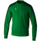 erima EVO STAR Sweatshirt Kinder smaragd/pine grove 116