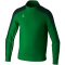 erima EVO STAR Trainingsjacke smaragd/pine grove S