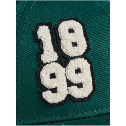 hummel SV Werder Bremen 125-Jahre Retro Cap 5069 - botanical garden
