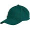 hummel SV Werder Bremen 125-Jahre Retro Cap 5069 - botanical garden