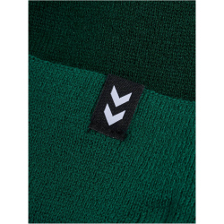 hummel SV Werder Bremen 125-Jahre SCHALALALALA...