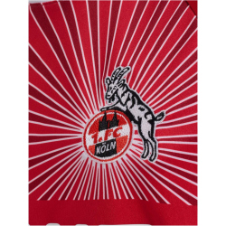 hummel 1. FC K&ouml;ln Ausw&auml;rtstrikot 2024/25 Kinder