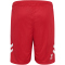 hummel 1. FC Köln Auswärtsshorts 2024/25 Kinder