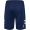 hummel 1. FC Köln Ausweichshorts 2024/25 Kinder