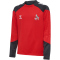 hummel 1.FC Köln TR Pro Sweatshirt 2024/25 Kinder