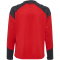 hummel 1.FC Köln TR Pro Sweatshirt 2024/25 Kinder