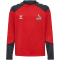 hummel 1.FC Köln TR Pro Sweatshirt 2024/25 Kinder
