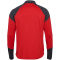 hummel 1. FC K&ouml;ln Pro 1/2-Zip Sweatshirt 2024/25