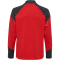 hummel 1. FC Köln Pro 1/2-Zip Trainingsjacke 2024/25 Kinder