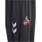 hummel 1. FC Köln Pro Trainingshose 2024/25 Kinder