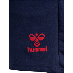 hummel 1. FC K&ouml;ln Travel Baumwoll Shorts 2024/25