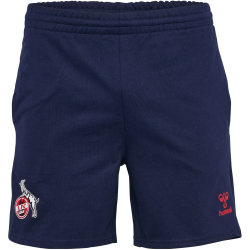 hummel 1. FC Köln Travel Baumwoll Shorts 2024/25 Kinder