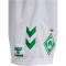 hummel SV Werder Bremen Heimshorts 2024/25 Kinder