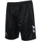 hummel SV Werder Bremen Ausweichshorts 2024/25