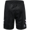 hummel SV Werder Bremen Ausweichshorts 2024/25 Kinder