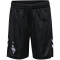 hummel SV Werder Bremen Ausweichshorts 2024/25 Kinder