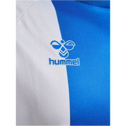 hummel 1. FC Magdeburg Jubil&auml;umstrikot 2024