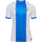 hummel 1. FC Magdeburg Jubiläumstrikot 2024