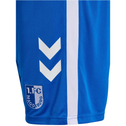 hummel 1. FC Magdeburg Heimshorts 2024/25 Kinder