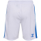 hummel 1. FC Magdeburg Auswärtsshorts 2024/25