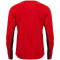 hummel 1. FC Köln Pro langarm Trainingstrikot 2024/25