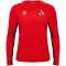 hummel 1. FC Köln Pro langarm Trainingstrikot 2024/25