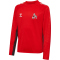 hummel 1. FC Köln Pro langarm Trainingsshirt 2024/25 Kinder