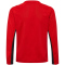 hummel 1. FC Köln Pro langarm Trainingsshirt 2024/25 Kinder