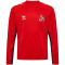 hummel 1. FC Köln Pro langarm Trainingsshirt 2024/25 Kinder