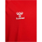 hummel 1. FC Köln Pro langarm Trainingsshirt 2024/25 Kinder