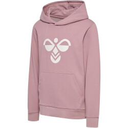 hummel hmlCUATRO Hoodie Kinder 4852 - woodrose 110
