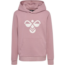 hummel hmlCUATRO Hoodie Kinder 4852 - woodrose 110