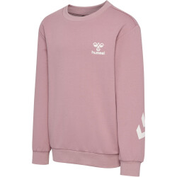 hummel hmlVENTI Trainingsanzug Kinder 4852 - woodrose 104