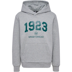 hummel hmlNIPPS Hoodie Jungen 2010 - light grey melange 104