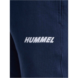 hummel hmlELEMENTAL Baumwoll Shorts 7459 - dress blues XXL