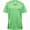 hummel hmlMULTI Polyester Trikot Kinder 6578 - poison green 116
