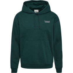 hummel hmlLOOSE Sportswear Hoodie 6565 - ponderosa pine XL