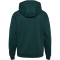 hummel hmlLOOSE Sportswear Hoodie 6565 - ponderosa pine XL