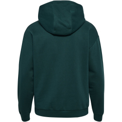 hummel hmlLOOSE Sportswear Hoodie 6565 - ponderosa pine XS