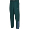 hummel hmlTRACKSUIT Trainingshose 6565 - ponderosa pine XS