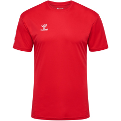 hummel hmlLOGO Sport-Set Trikot+Shorts 3062 - true red XXL
