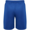 hummel hmlLOGO Sport-Set Trikot+Shorts 7045 - true blue XXL