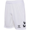 hummel hmlLOGO Sport-Set Trikot+Shorts 9001 - white XXL