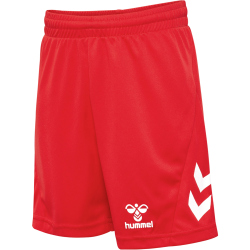 hummel hmlLOGO Sport-Set Trikot+Shorts Kinder 3062 - true...